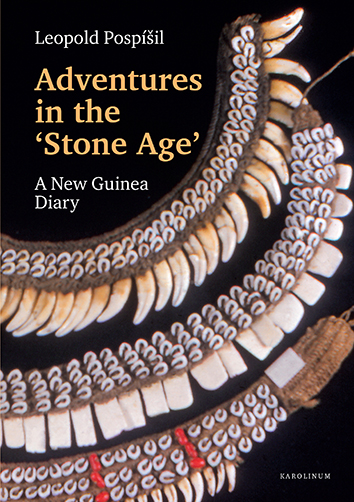 Adventures in the Stone Age