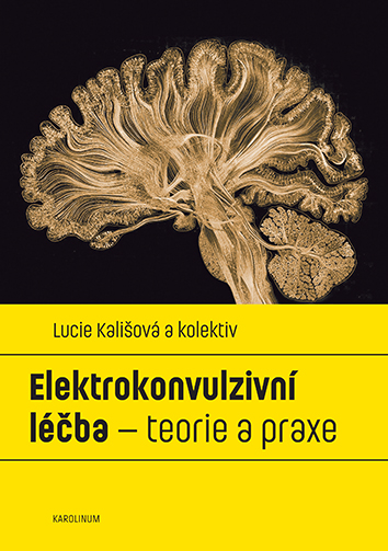 Elektrokonvulzivní léčba – teorie a praxe