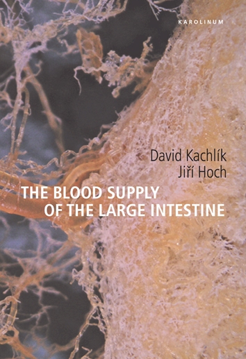 The blood supply of the large intestine